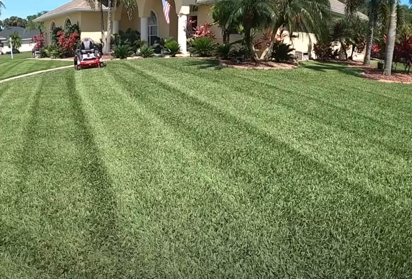 San Mateo Lawn Care