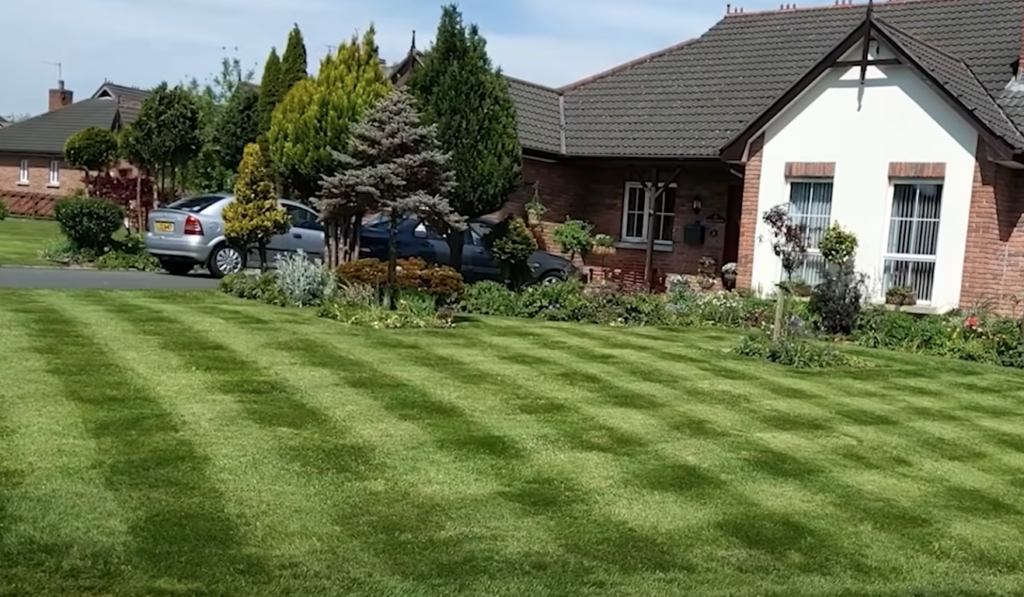 San Mateo Lawn Care