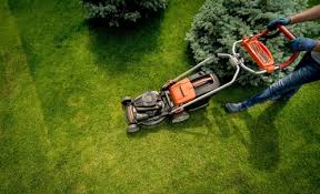 San Mateo Lawn Care