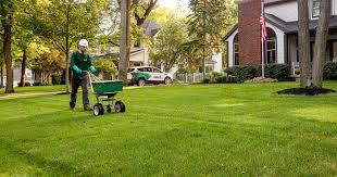 San Mateo Lawn Care