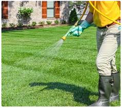 San Mateo Lawn Fertilization