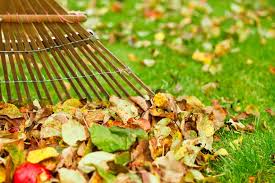 San Mateo Leaf Removal