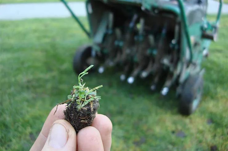 San Mateo Lawn Aeration